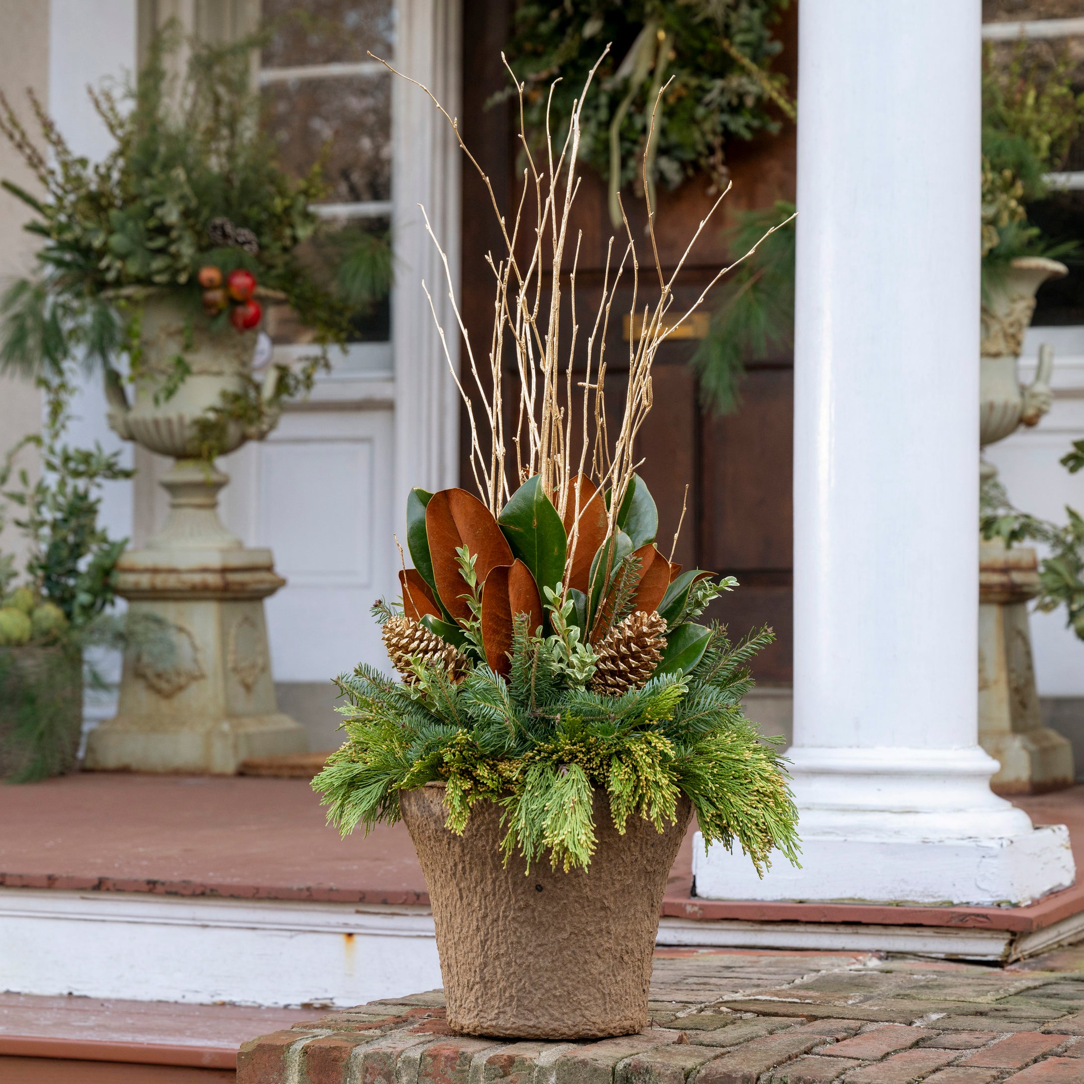 'Golden Magnolias' Drop-In Planter