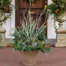 Load image into Gallery viewer, &#39;Silver Bells&#39; Drop-In Planter
