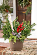 Load image into Gallery viewer, Black Friday Birch Log Planter
