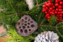 Load image into Gallery viewer, Black Friday Birch Log Planter
