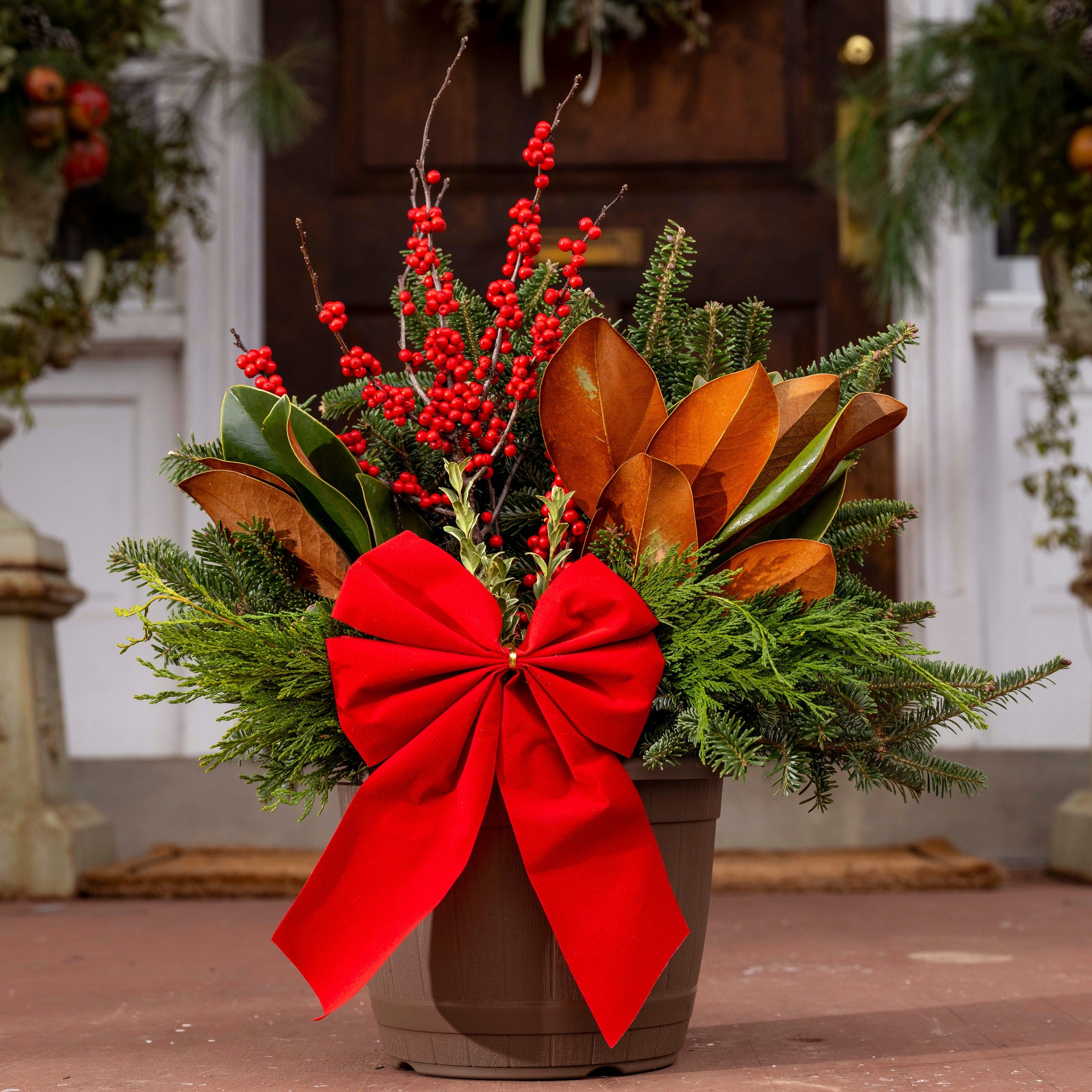 'Merry Magnolias' Planter