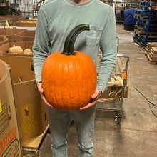 Load image into Gallery viewer, Carving Pumpkin- Extra Large
