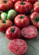 Load image into Gallery viewer, Tomato &#39;Bush Champion&#39;
