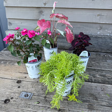 Load image into Gallery viewer, &#39;Tell it to My Heart&#39; DIY Container Kit
