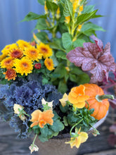 Load image into Gallery viewer, &#39;Pumpkin Pie&#39; Drop-in Planter
