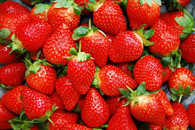 Load image into Gallery viewer, Strawberry &#39;Worlds Largest&#39;
