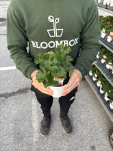 Load image into Gallery viewer, Geraniums
