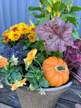 Load image into Gallery viewer, &#39;Pumpkin Pie&#39; Drop-in Planter
