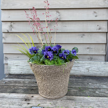Load image into Gallery viewer, &#39;Shady Springtime&#39; Drop-in Planter
