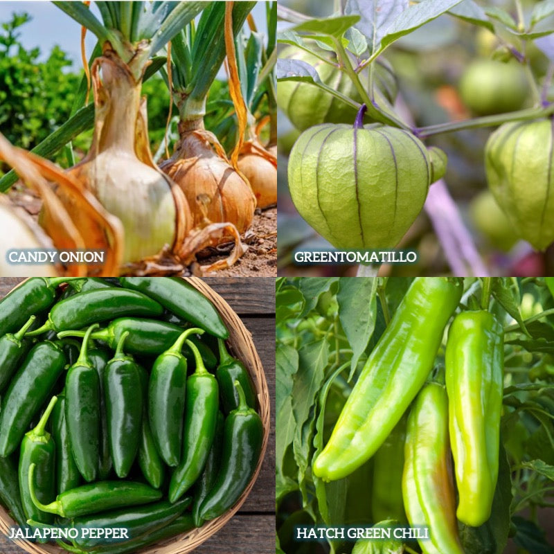 Organic Veggie Garden Kit- Salsa Verde Garden