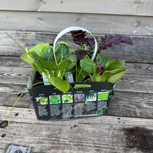 Load image into Gallery viewer, Organic Veggie Garden Kit- Wok Garden
