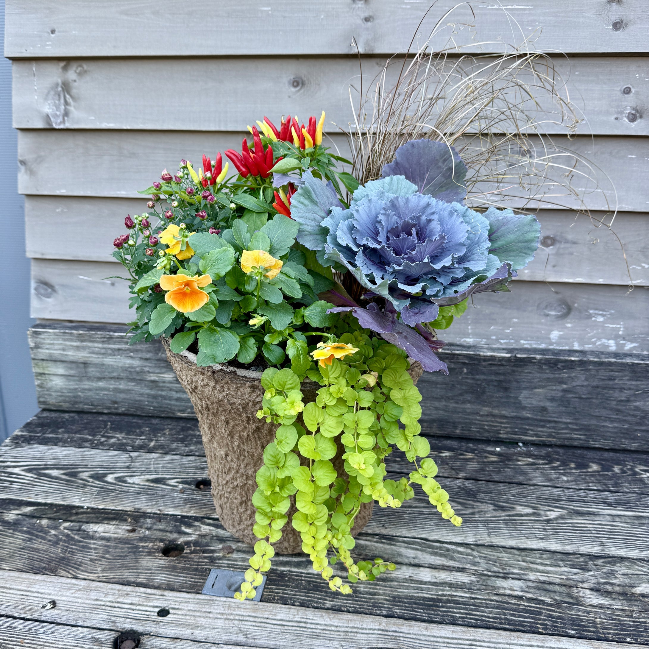 'Fall Sunset' Drop-in Planter
