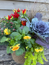 Load image into Gallery viewer, &#39;Fall Sunset&#39; Drop-in Planter
