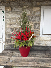 Load image into Gallery viewer, &#39;Winterberry Blast&#39; Deluxe Planter
