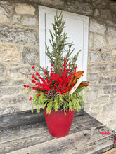Load image into Gallery viewer, &#39;Winterberry Blast&#39; Deluxe Planter
