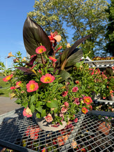 Load image into Gallery viewer, Premium Summer Planter
