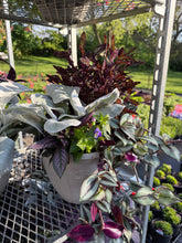 Load image into Gallery viewer, Premium Summer Planter
