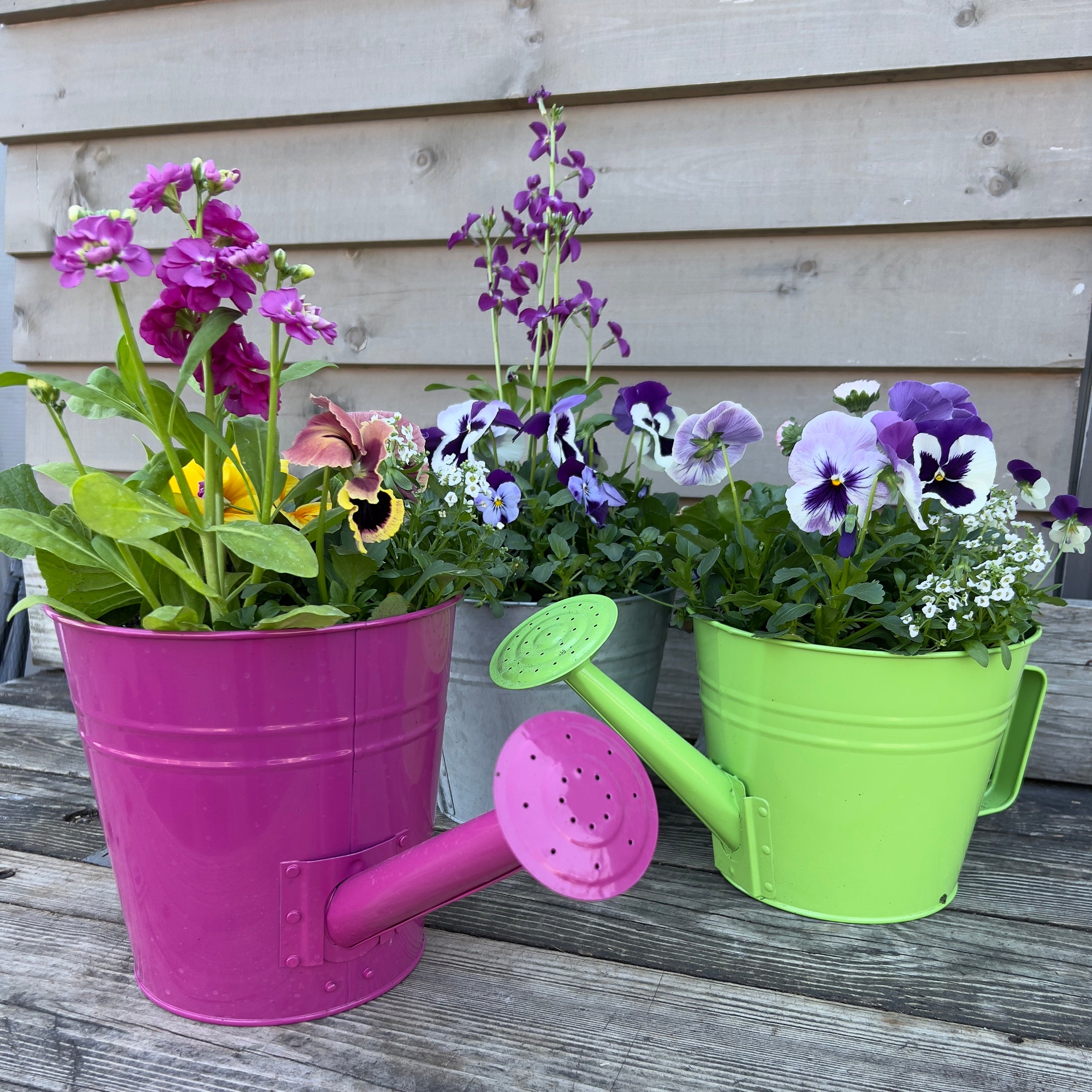 Easter Watering Can Planter