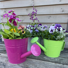 Load image into Gallery viewer, Easter Watering Can Planter
