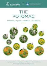 Load image into Gallery viewer, Chesapeake Bay Foundation Garden Kit - The Potomac
