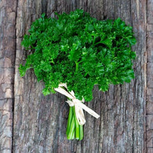 Load image into Gallery viewer, Herb Trio- Curled Parsley
