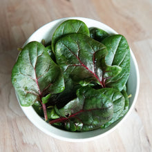 Load image into Gallery viewer, Spinach &#39;Red Tabby&#39; - 6 pack
