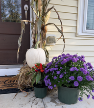 Load image into Gallery viewer, &quot;Spooky Season&quot; DIY Porch Kit
