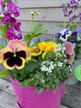 Load image into Gallery viewer, Easter Watering Can Planter
