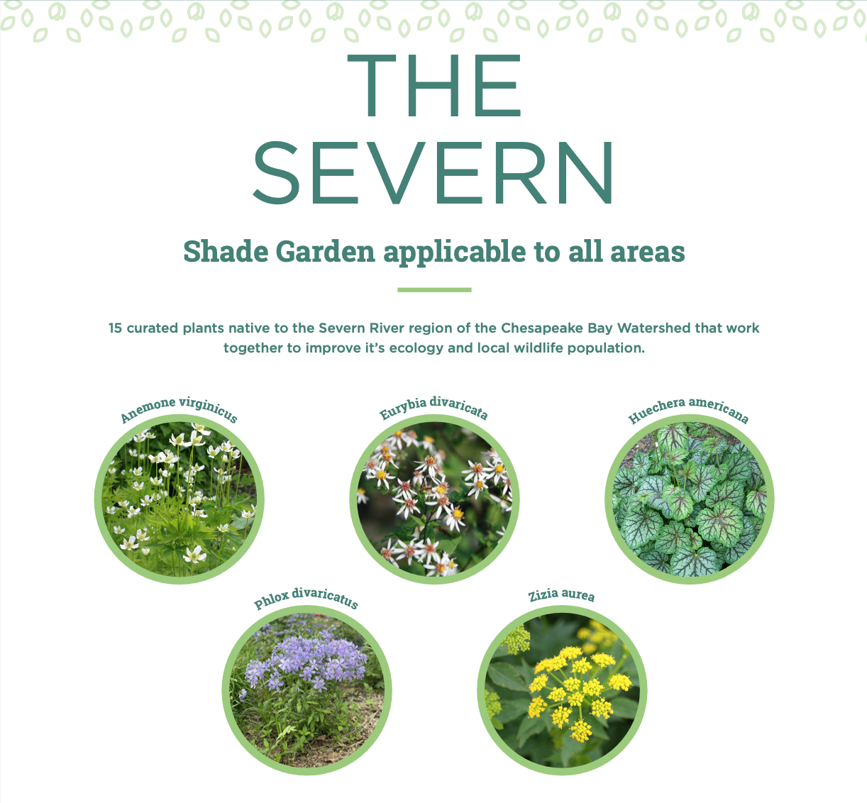 Chesapeake Bay Foundation Garden Kit- The Severn