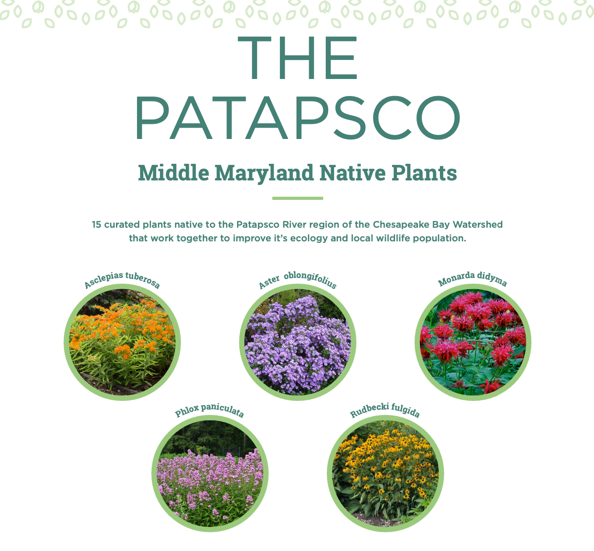 Chesapeake Bay Foundation Garden Kit - The Patapsco