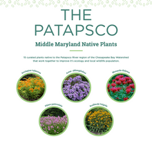 Load image into Gallery viewer, Chesapeake Bay Foundation Garden Kit - The Patapsco
