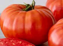 Load image into Gallery viewer, Tomato 'Supersteak'
