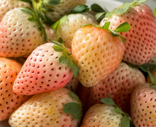 Load image into Gallery viewer, Strawberry 'Flamingo'
