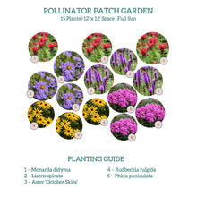 Load image into Gallery viewer, Pollinator Patch Garden Kit
