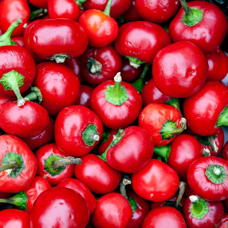 Pepper 'Red Cherry Hot'