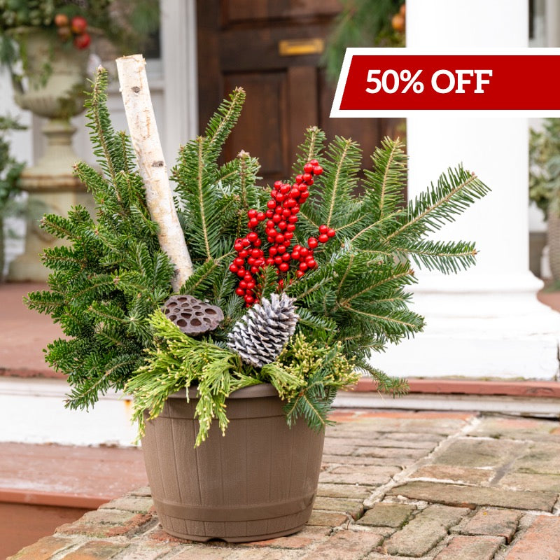 Black Friday Birch Log Planter