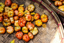 Load image into Gallery viewer, Tomato &#39;Big Rainbow&#39;

