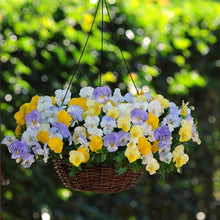 Load image into Gallery viewer, Pansy Hanging Basket
