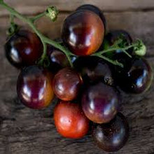 Load image into Gallery viewer, Tomato &#39;Indigo Rose&#39;
