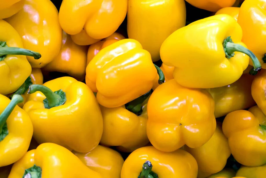 Pepper 'Early Sunsation'