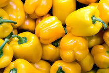 Load image into Gallery viewer, Pepper &#39;Early Sunsation&#39;
