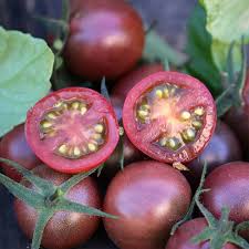 Tomato 'Black Cherry'