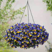 Load image into Gallery viewer, Pansy Hanging Basket
