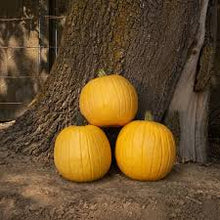 Load image into Gallery viewer, Pumpkin &#39;Lemonade&#39;
