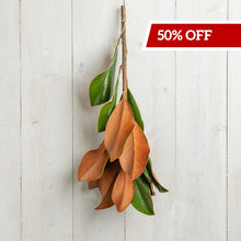 Load image into Gallery viewer, Medium Magnolia Stem - Black Friday Special
