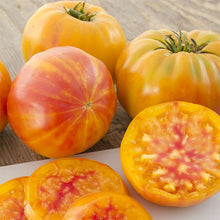 Load image into Gallery viewer, Tomato &#39;Pineapple&#39;
