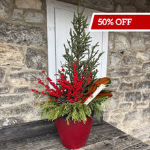 Load image into Gallery viewer, &#39;Winterberry Blast&#39; Deluxe Planter
