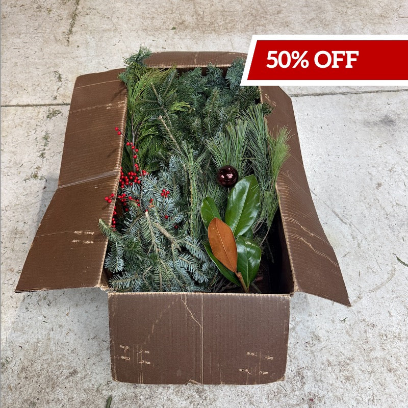 'Planta Claus' Surprise' Black Friday DIY Scrap Box