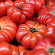 Load image into Gallery viewer, Tomato &#39;Mortgage Lifter&#39;
