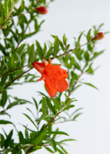 Load image into Gallery viewer, Hardy Pomegranate Bush

